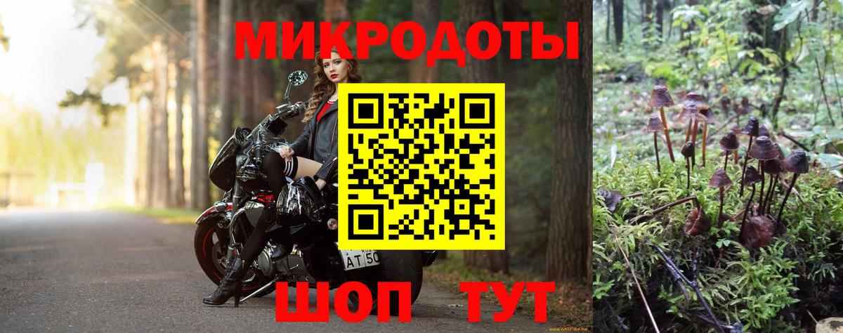 Галлюциногенные грибы мицелий Магадан