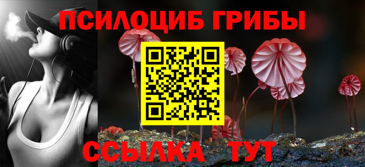 Псилоцибиновые грибы Psilocybe  Вход с VPN  Магадан  как найти закладки  Псилоцибиновые грибы MAGIC MUSHROOMS 